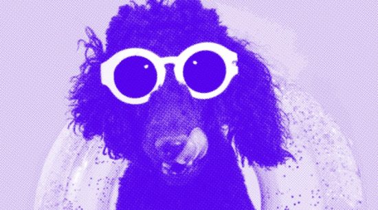 2023-FORM01-IMAGES TRAME chill